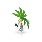 Love Bud Vase Bong